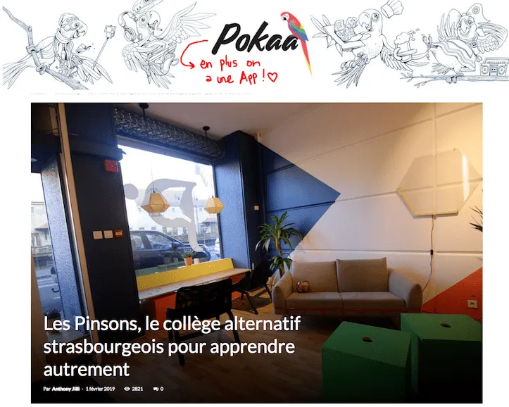 pokaa fr 2019 02 01 les pinsons 1